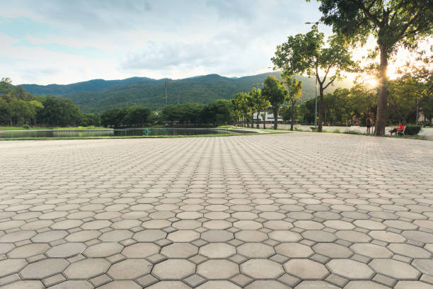 Best Local Driveway Pavers  in Statesboro, GA